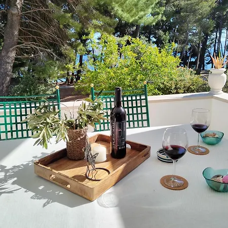 Apartment Beachfront Suncana