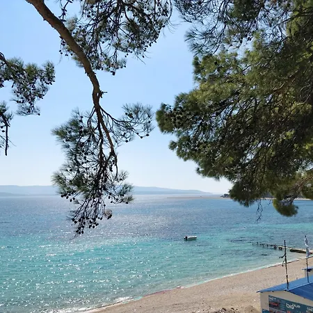 Beachfront Suncana Apartment